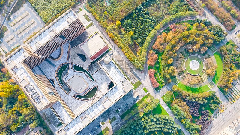 医疗电子设备代工成本预算：关键因素与优化策略